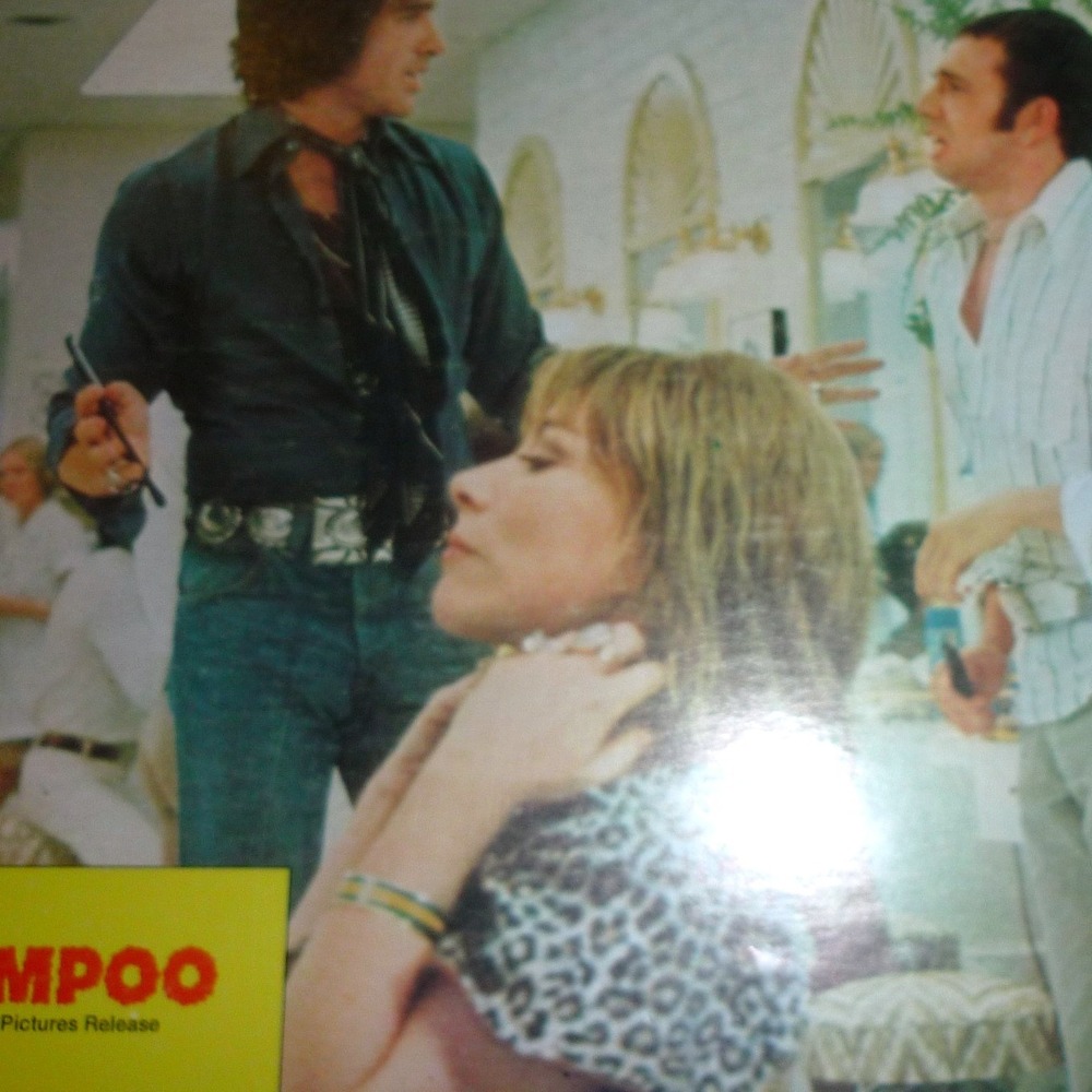 Vintage 1975 Shampoo Movie Lobby Card #7 Warren Beatty Lee Grant Salon NSS 75/39